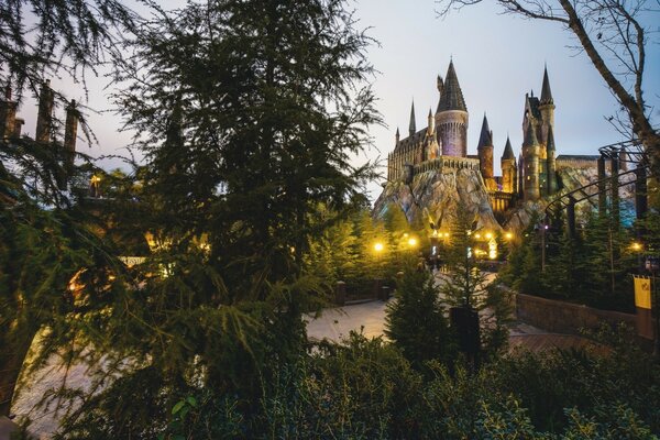 Un gran castillo se encuentra detrás de un bosque