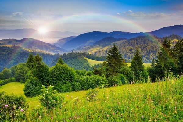 Schöne Landschaft der Natur des Waldes und der Berge