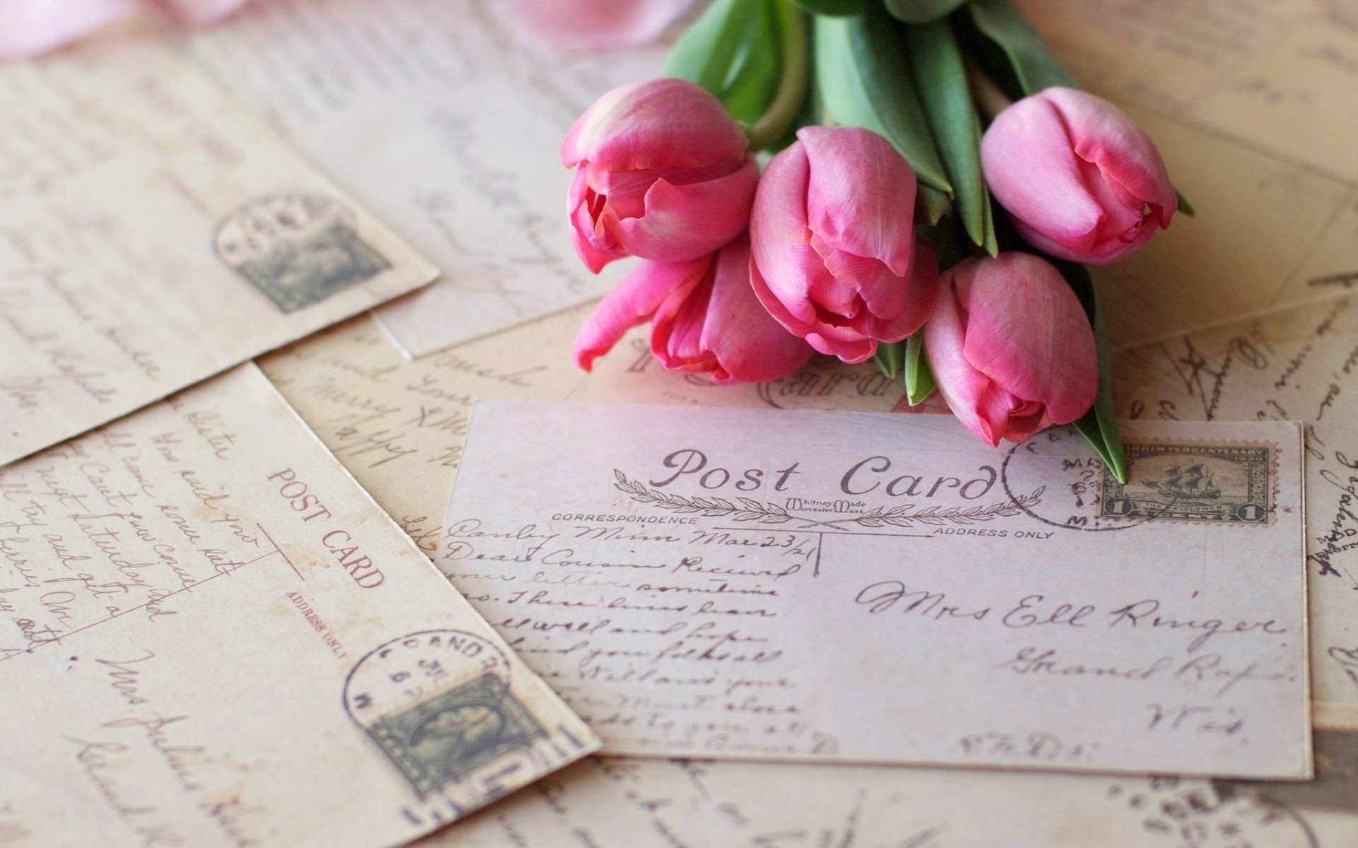 fleurs papier amour nature morte romance texte carte page écrire bois tulipes rose carte postale vintage