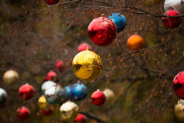 Christmas tree toys on the branches of an autumn tree