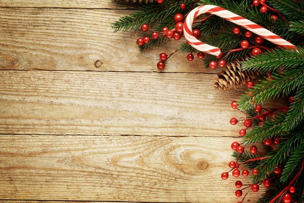 Christmas pine tree on wooden floor