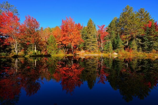 Die Pracht der Natur in der Herbstlandschaft