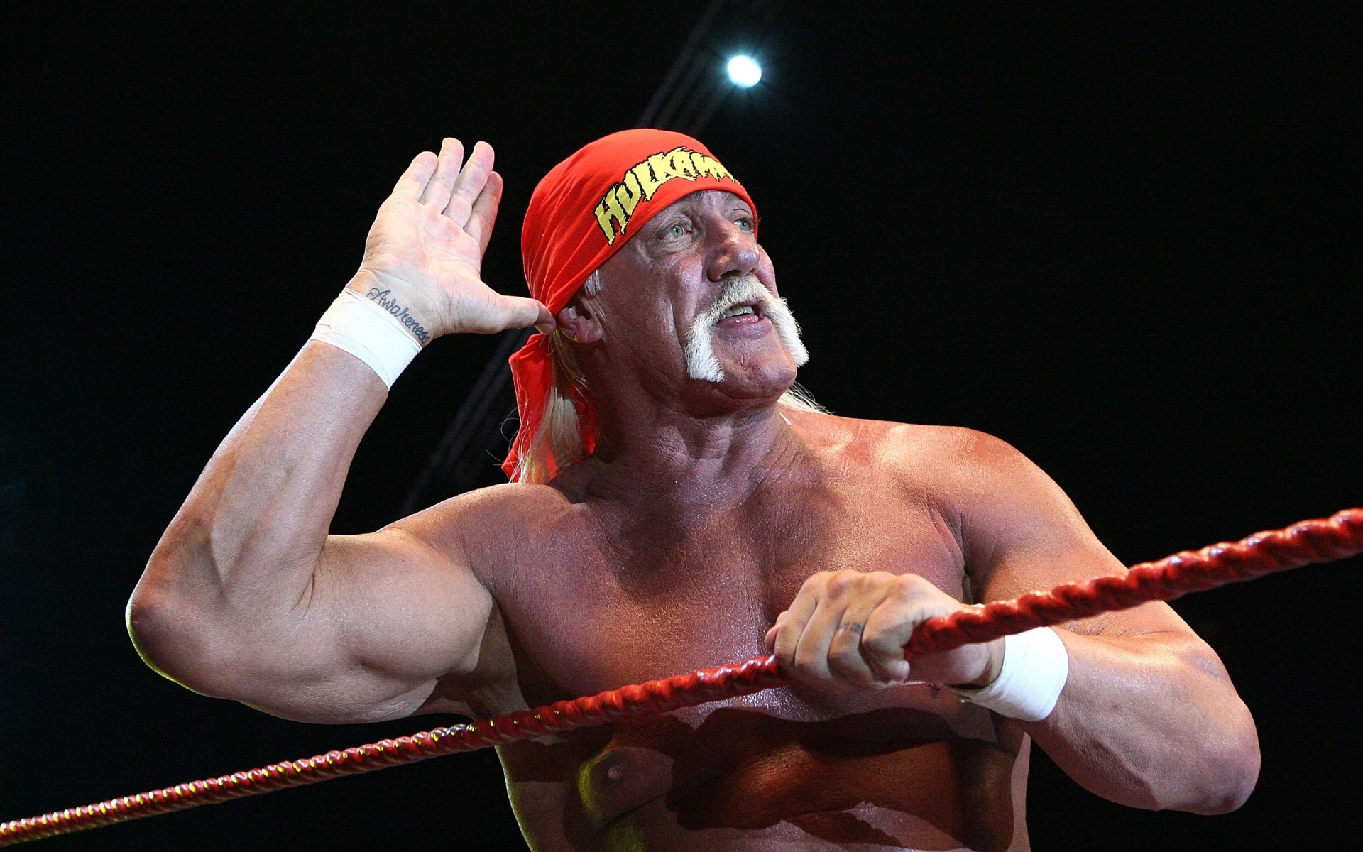 lucha libre competencia atleta hombre adulto boxeador solo equipo deportivo festival fuerza hulk hogan