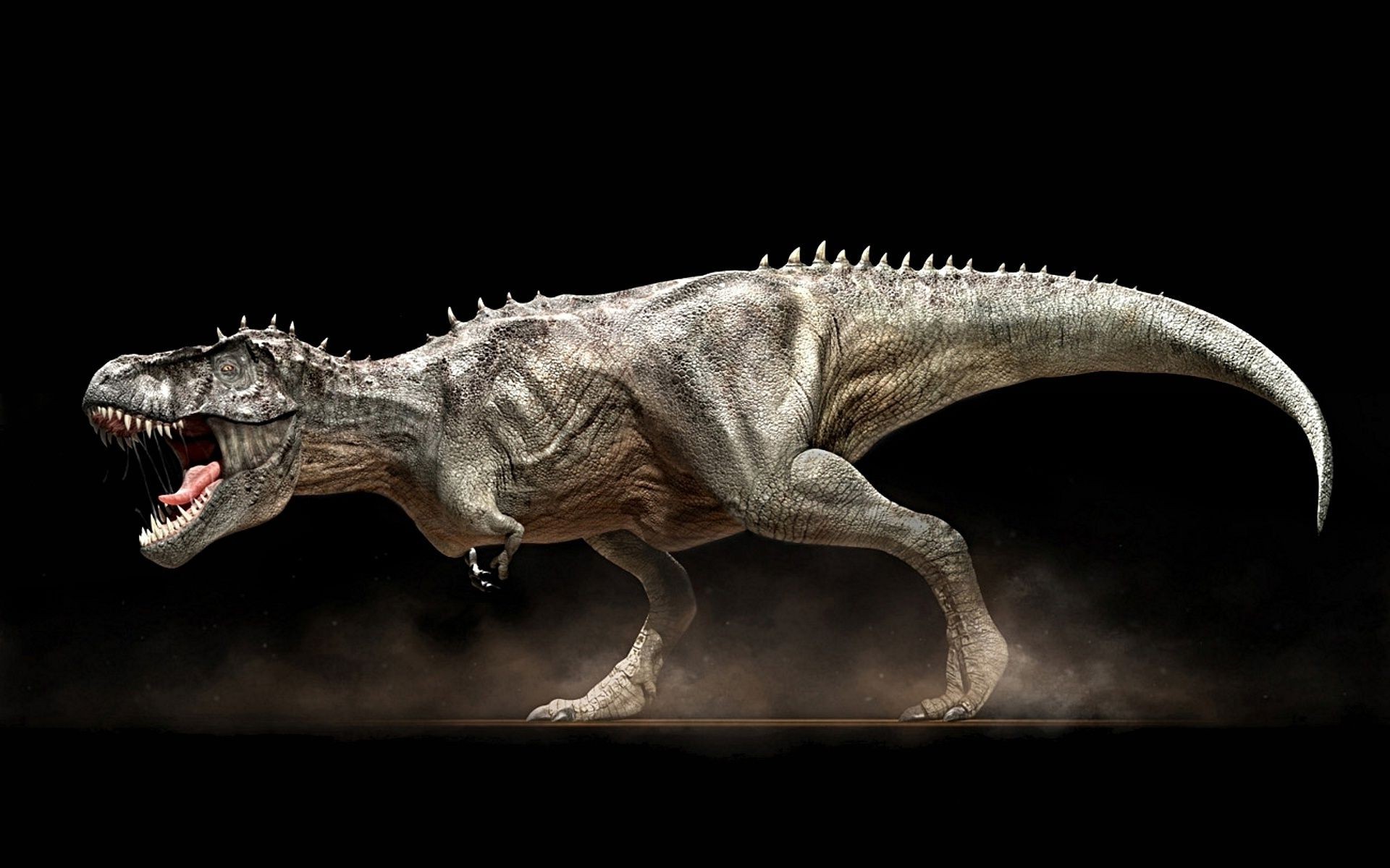 animals reptile dinosaur lizard prehistoric monster paleontology animal museum side view jurassic wildlife biology teeth predator skull frame scary aggression