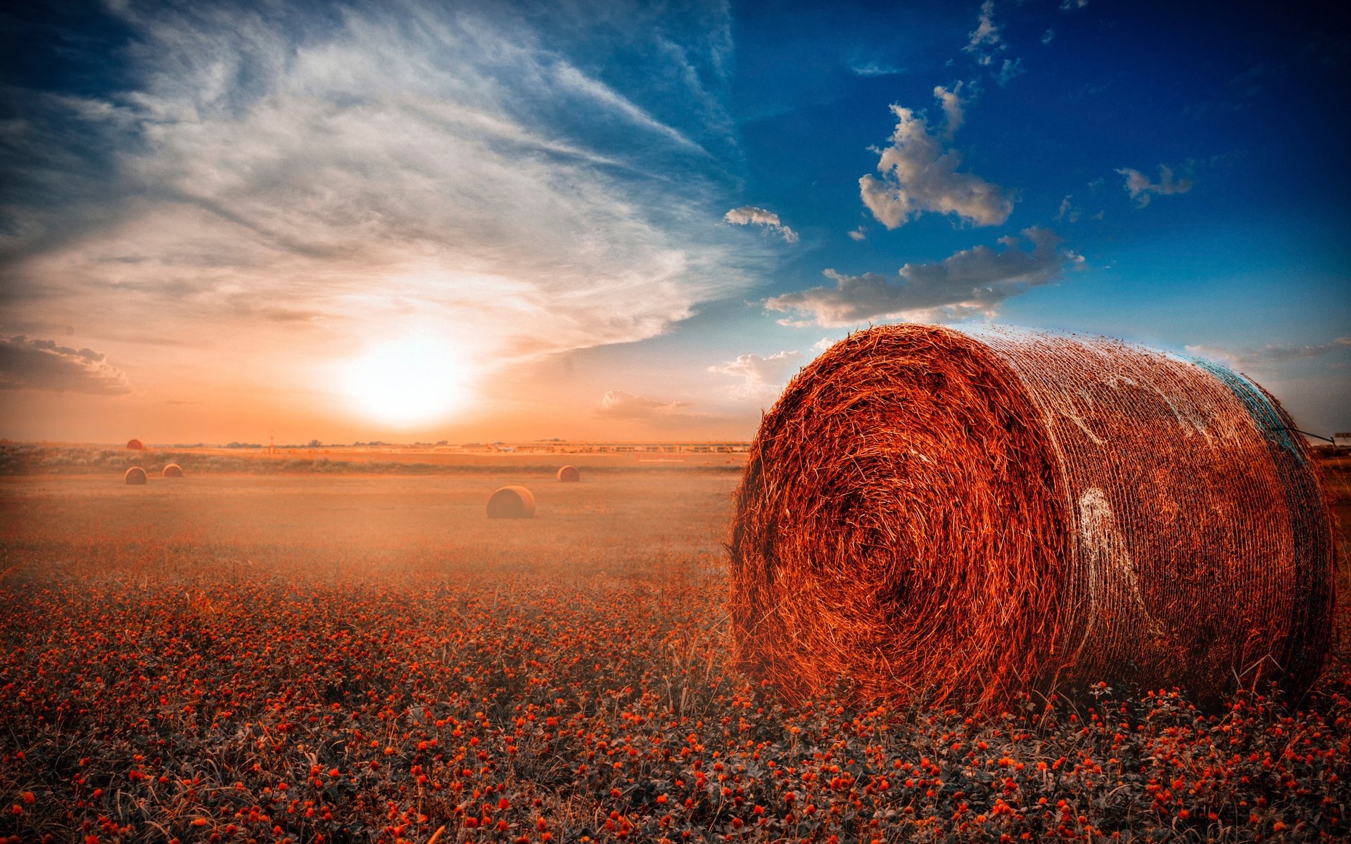 landscapes sunset dawn sun landscape sky evening nature dusk summer fair weather gold outdoors rural field hay rolls