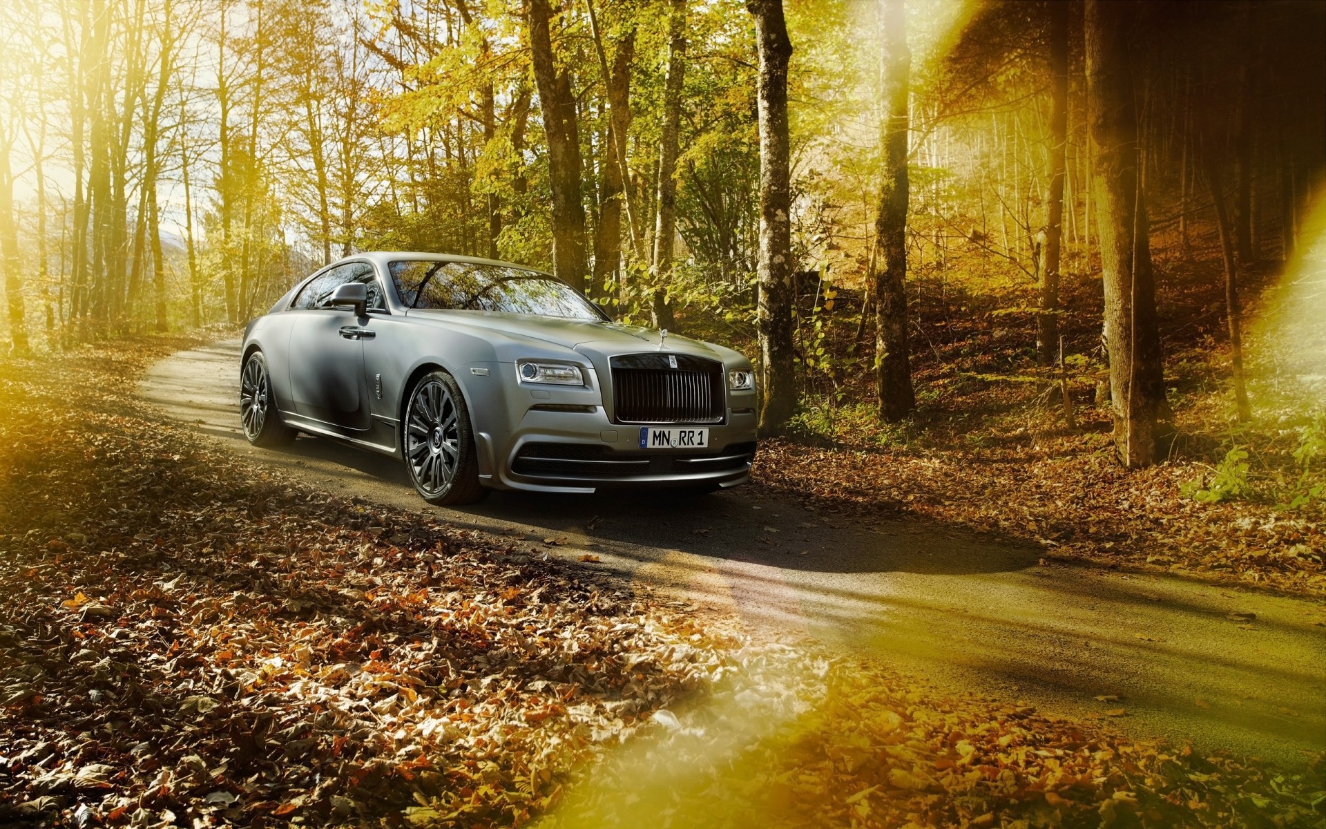 rolls royce autunno strada legno albero natura foglia paesaggio auto luce parco all aperto spofec rolls royce rolls royce rafe