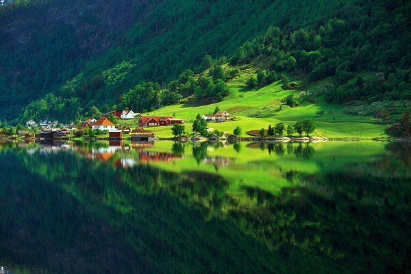 Nature Lake greenery summer houses forest village