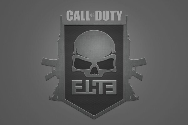 Call of duty skull mw3 multiplayer elite