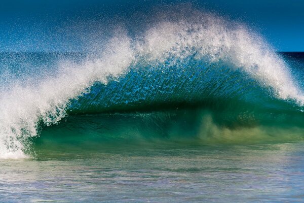 Vague imminente au bord de la mer