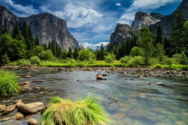 Bright colors of mountain nature