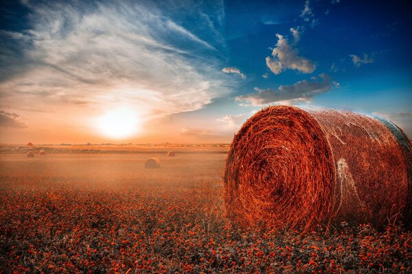 Heuhaufen im Hintergrund des Sonnenuntergangs