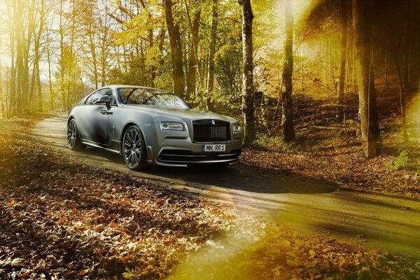 Rolls royce on the background of autumn