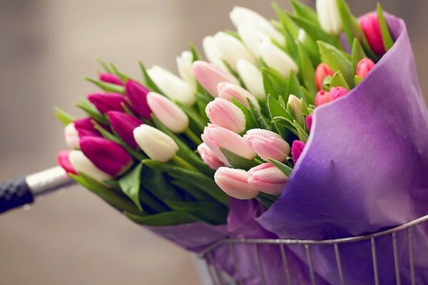 Flores tulipanes en un ramo en la naturaleza