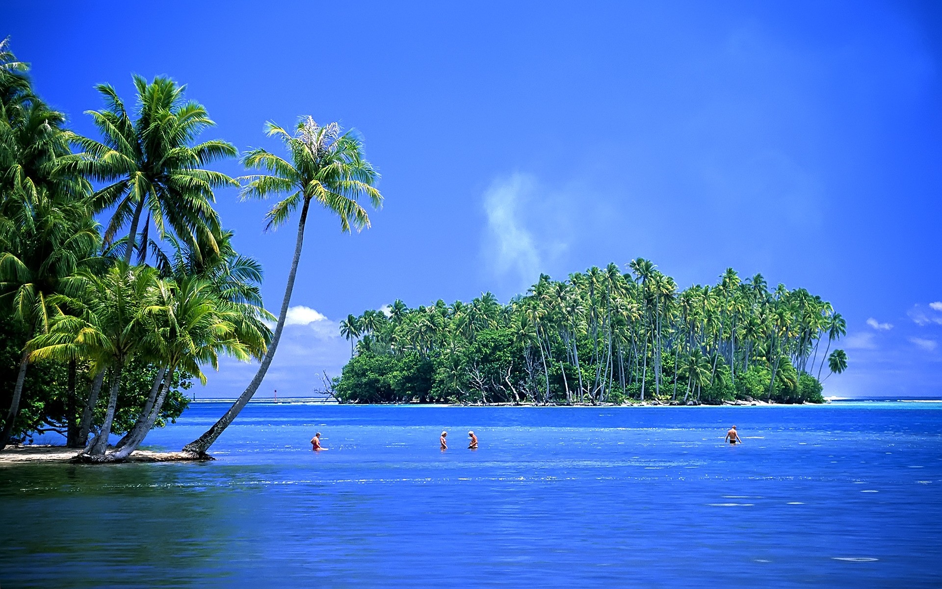 paysage tropical eau île mer plage océan arbre voyage été idyllique exotique paradis vacances ciel mer nature station paysage paume paysage