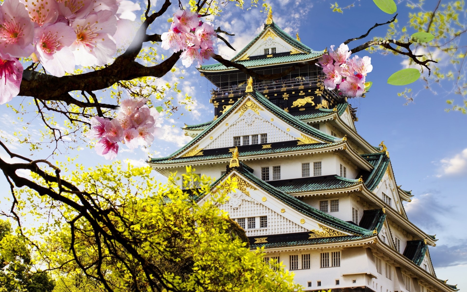 japão árvore céu templo flor arquitetura cultura natureza jardim parque casa viagens flora tradicional bela ao ar livre religião folha ramo cor castelo japonês flor