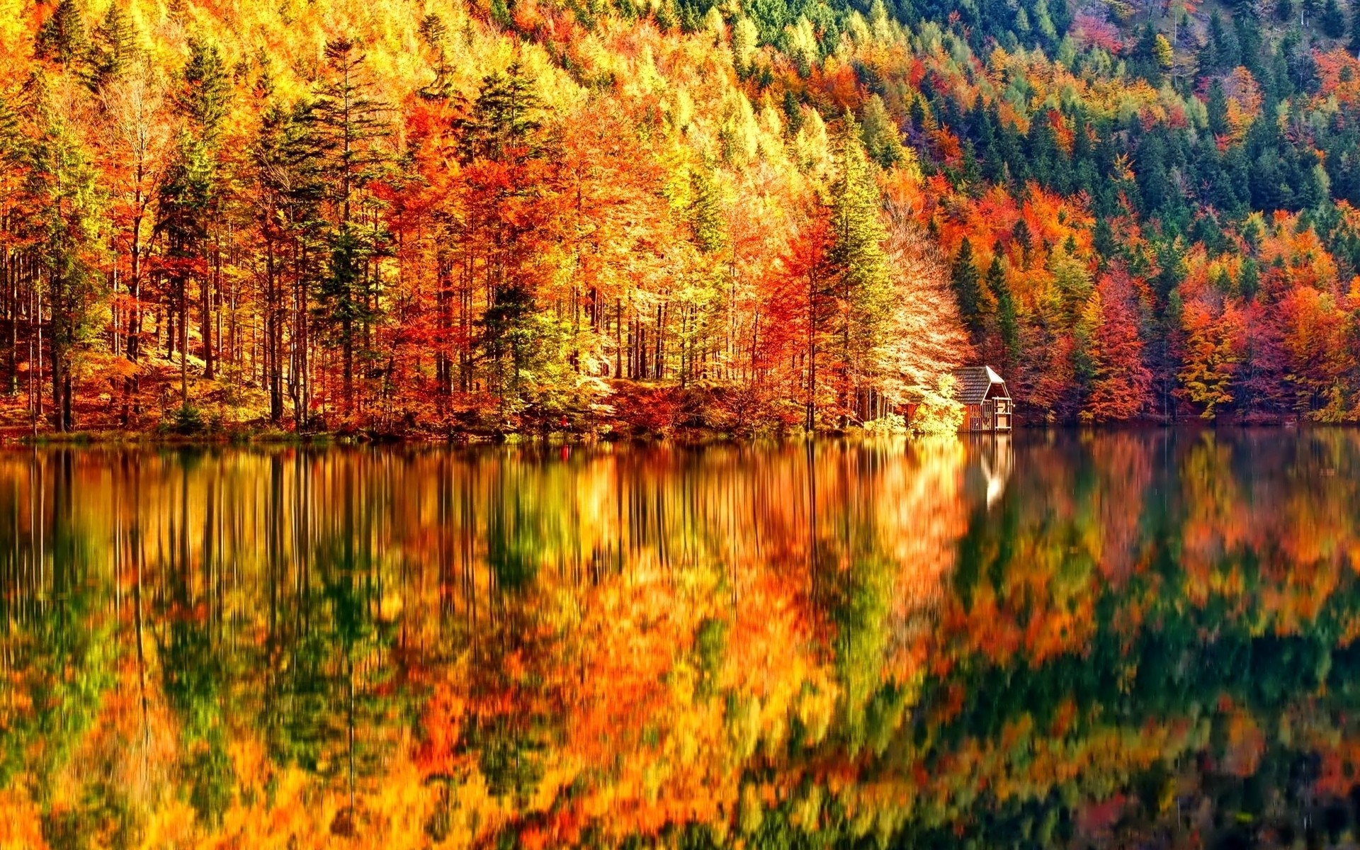 Autumn Landscape Android Wallpapers