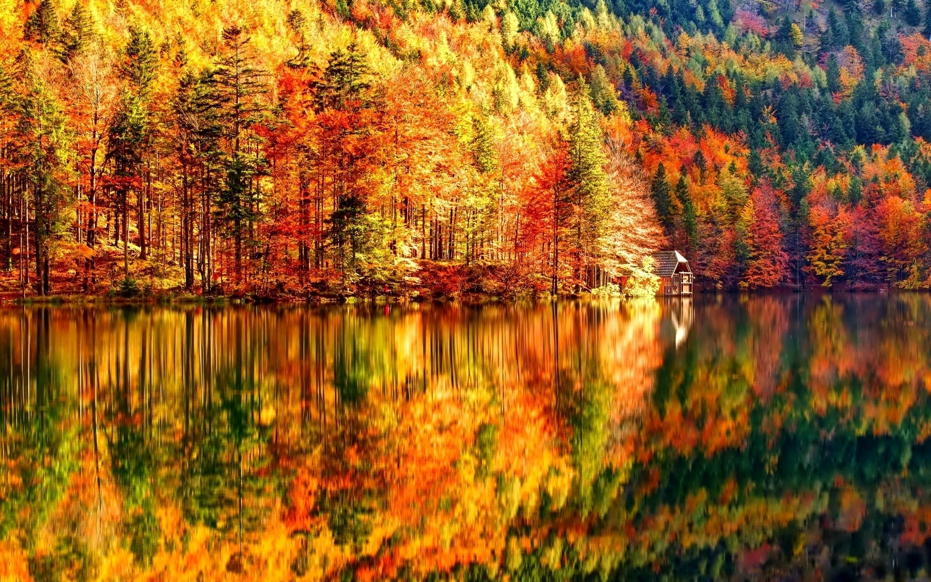 herbst herbst blatt natur holz wasser im freien landschaft saison see baum fluss park reflexion landschaftlich hell farbe ahorn landschaft wald haus bäume