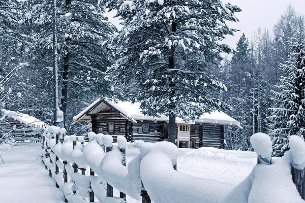 One-storey house in the winter forest