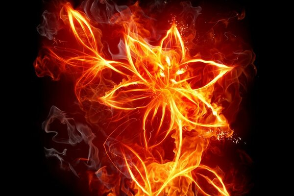 Red flame in the form of a flower on a black background