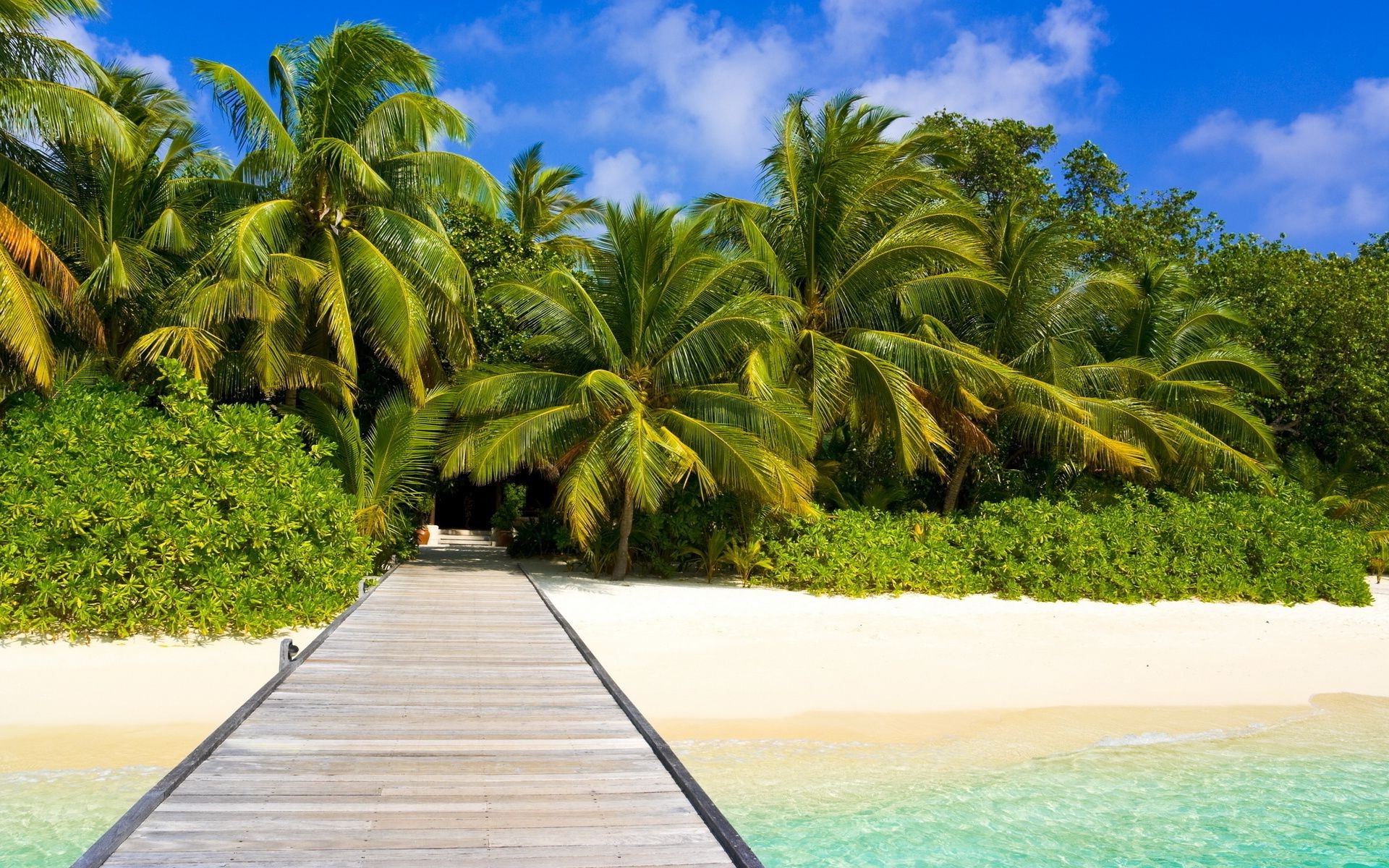 mare e oceano tropicale palme paradiso spiaggia cocco resort esotico estate idillio relax isola sabbia vacanza sole albero laguna turchese paesaggio mare viaggi