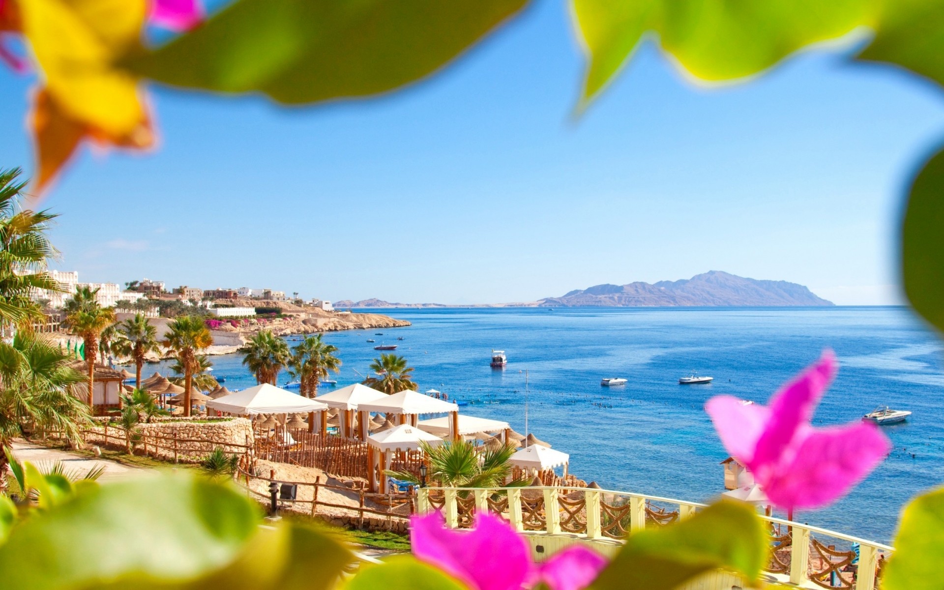 andere städte reisen himmel wasser sommer tropisch meer urlaub natur strand resort meer blume im freien ozean entspannung tourismus gutes wetter schön sonne ägypten palmen