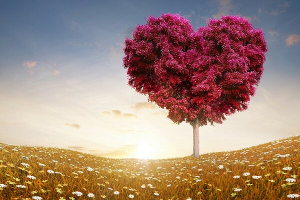 Árbol en forma de corazón contra el cielo