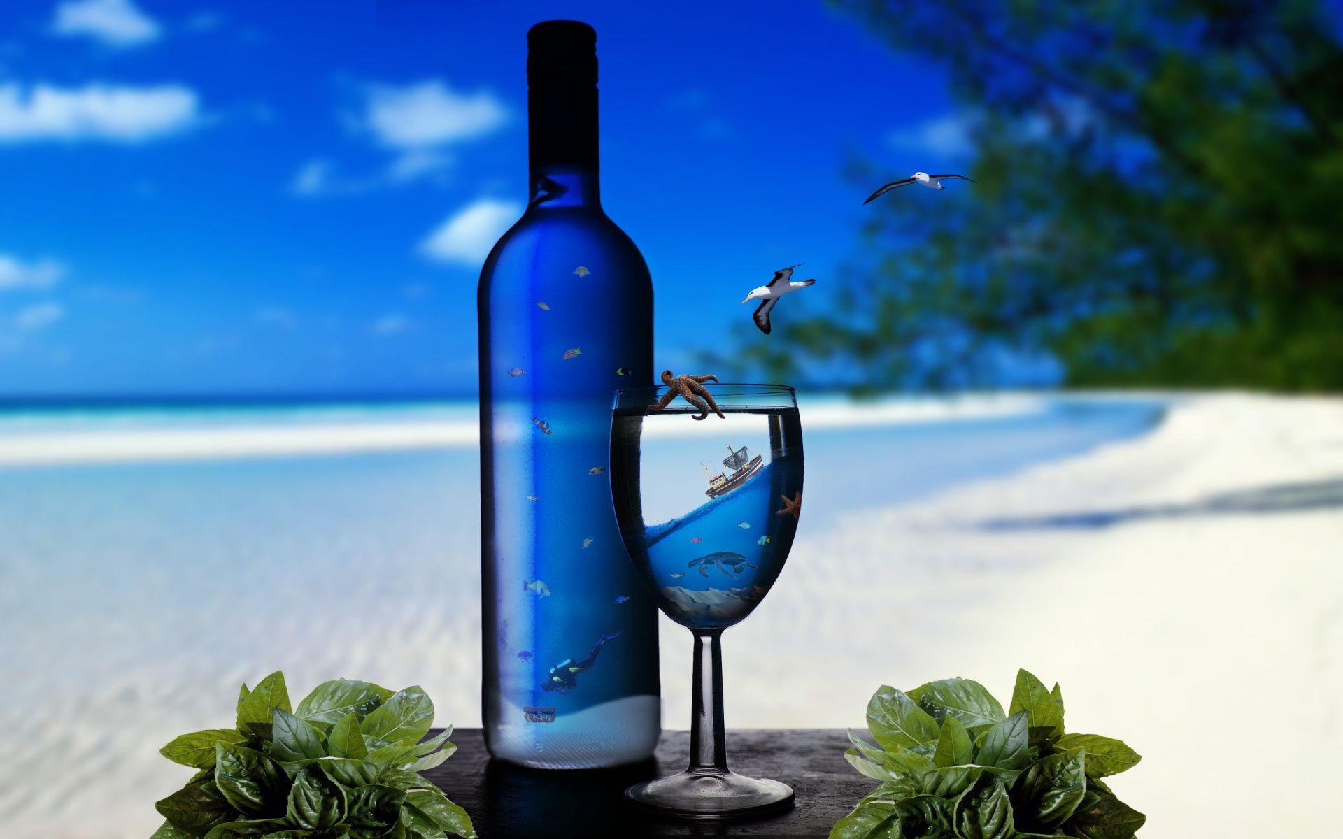 droplets and water wine glass drink summer nature