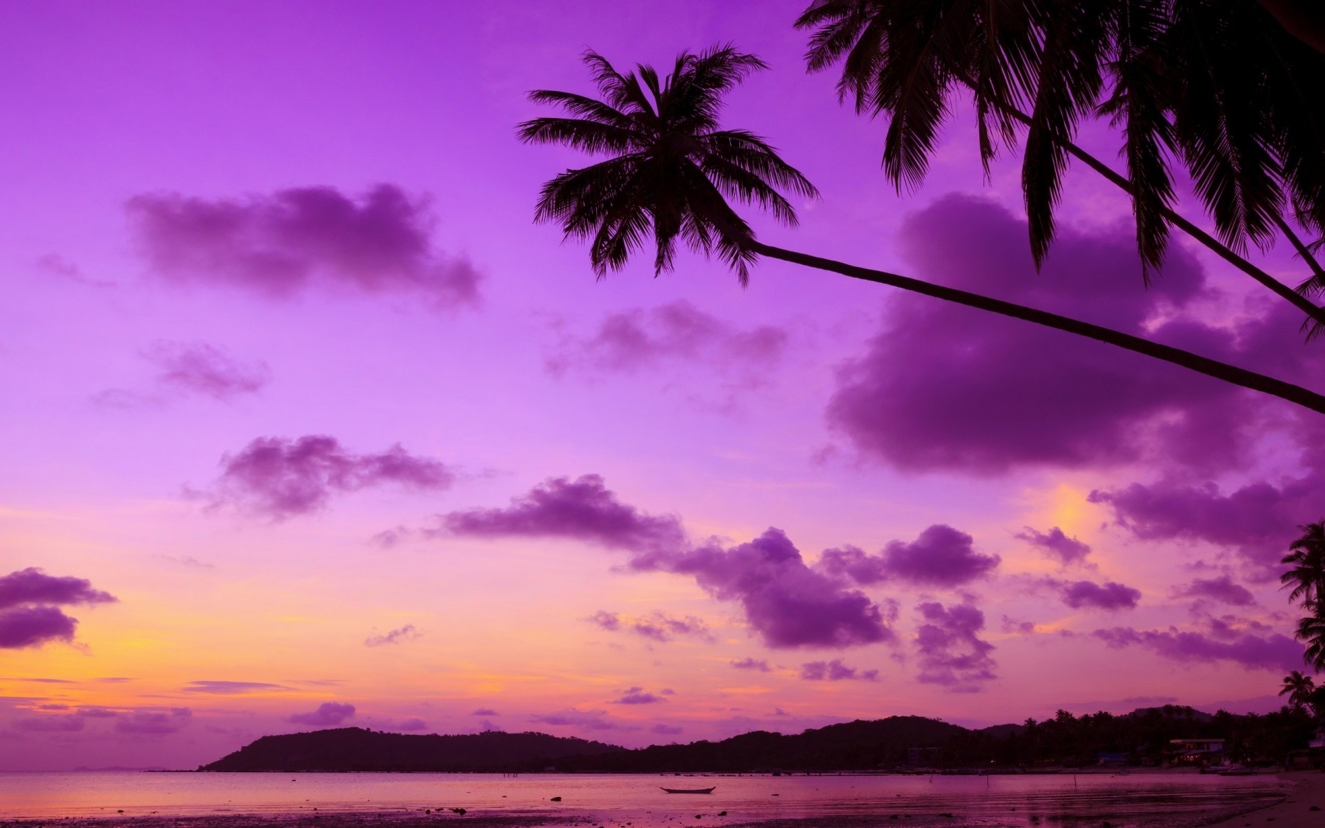 landscapes sunset beach tropical water seashore sun sky ocean summer dawn nature dusk sea evening landscape palm sand horizon island paradise palms purple