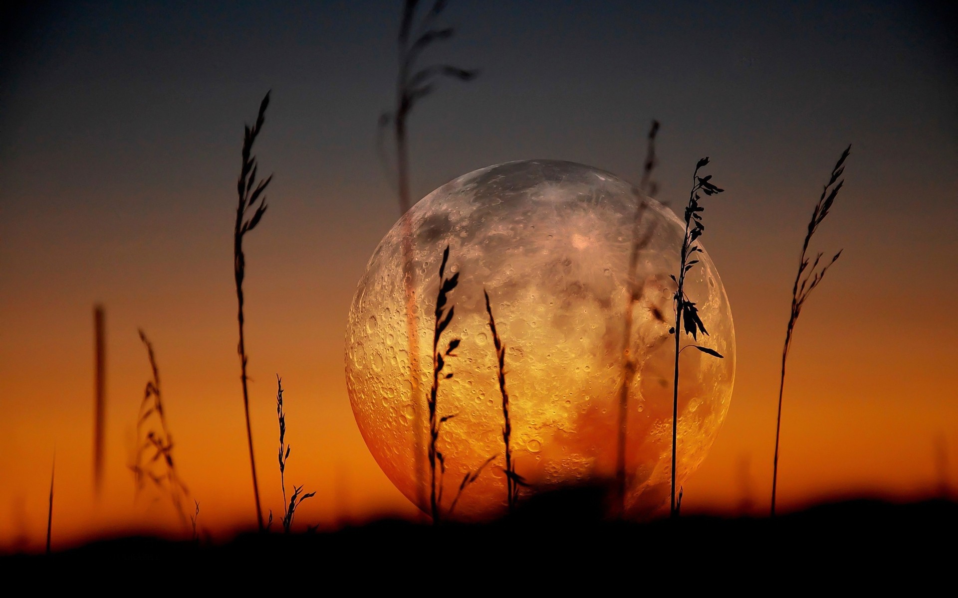 paysage coucher de soleil lune nature soleil paysage ciel aube silhouette lumière or soir arbre couleur bureau pleine lune