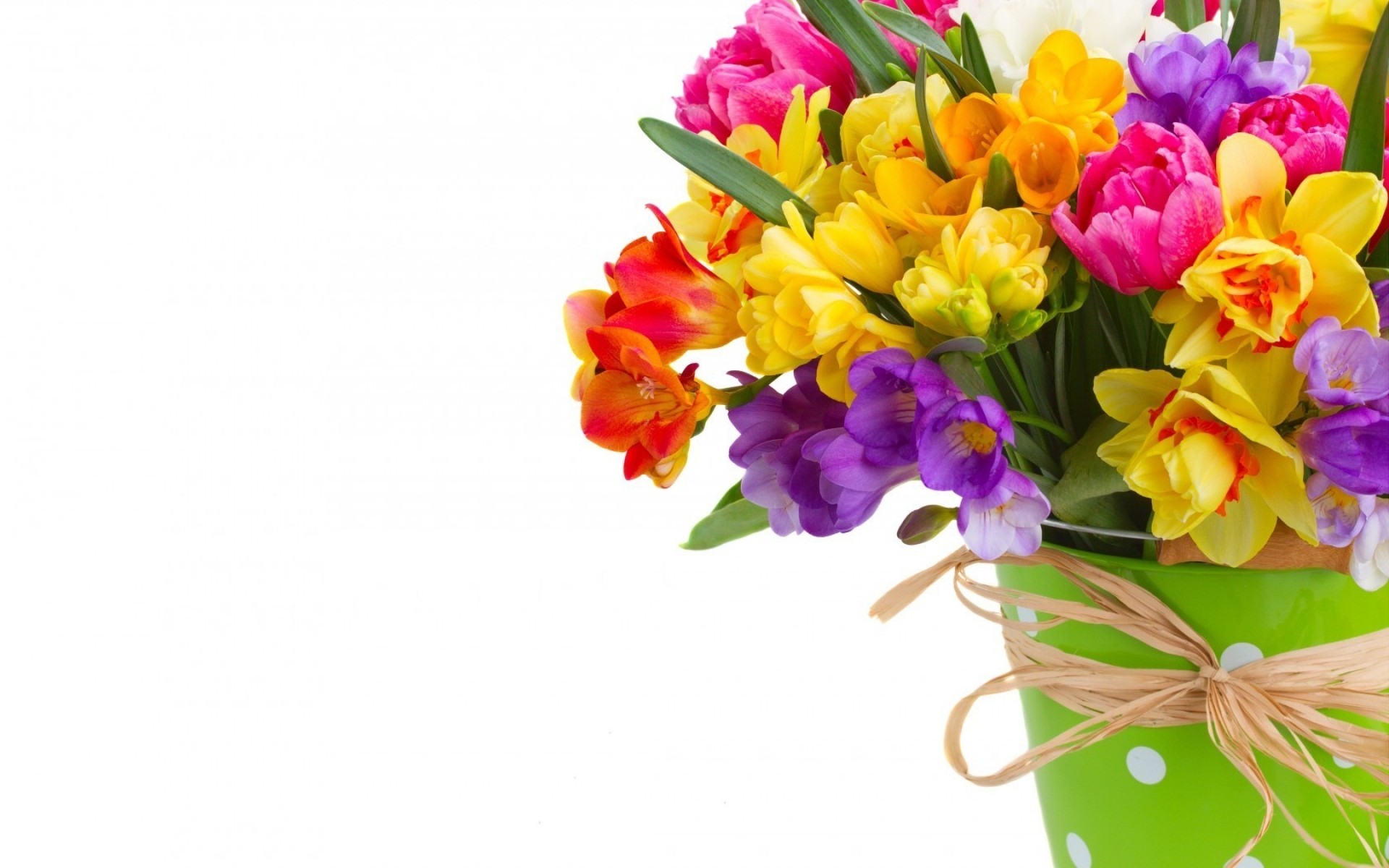 flowers nature flora flower bouquet color floral blooming leaf gift bright beautiful easter petal decoration garden summer cluster season close-up romantic daffodils freesias spring