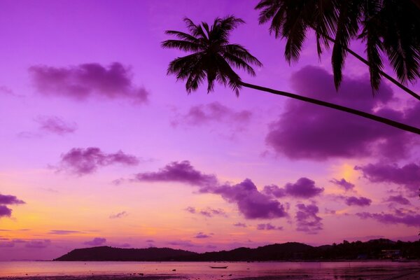 Beach Desktop Screensaver