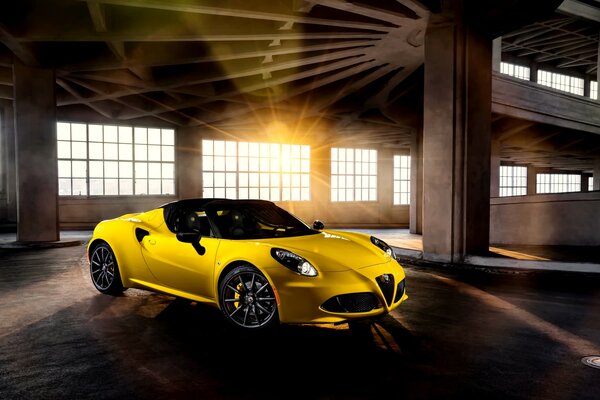 Alfa Romeo bessia jaune