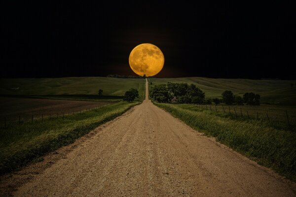 Night road to the horizon with a huge moon