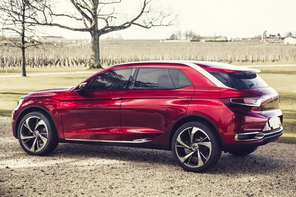 Citroën cerisier sur fond de nature