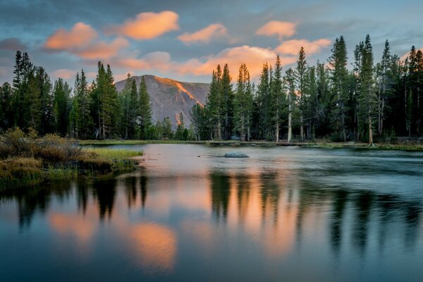 Reflejo en la superficie acuática de los árboles y las montañas