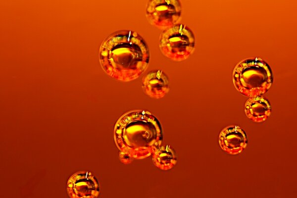 Golden drops on a red background