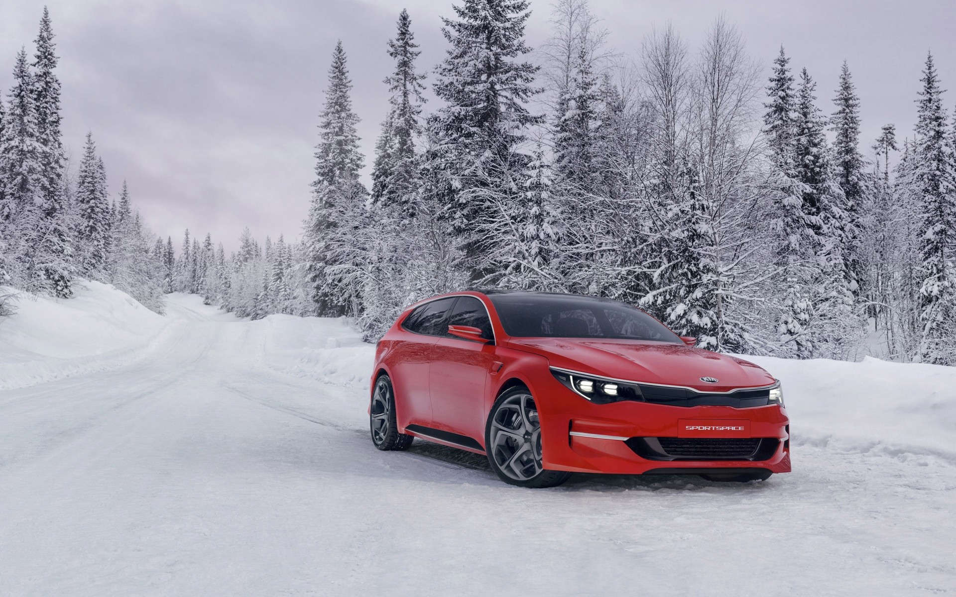 kia neige hiver bois voiture froid piste kia concept car kia concept