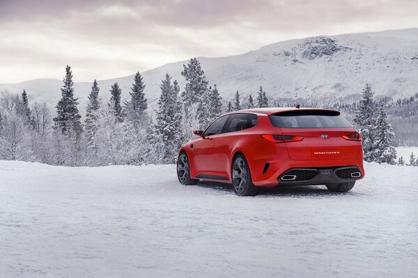 Hermosa foto de un coche rojo