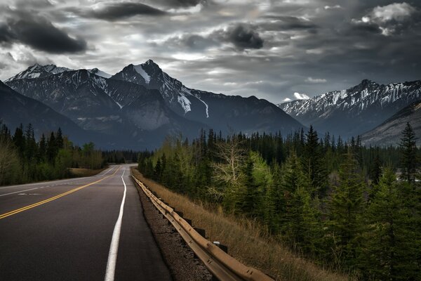 Landscape road mountains and forest