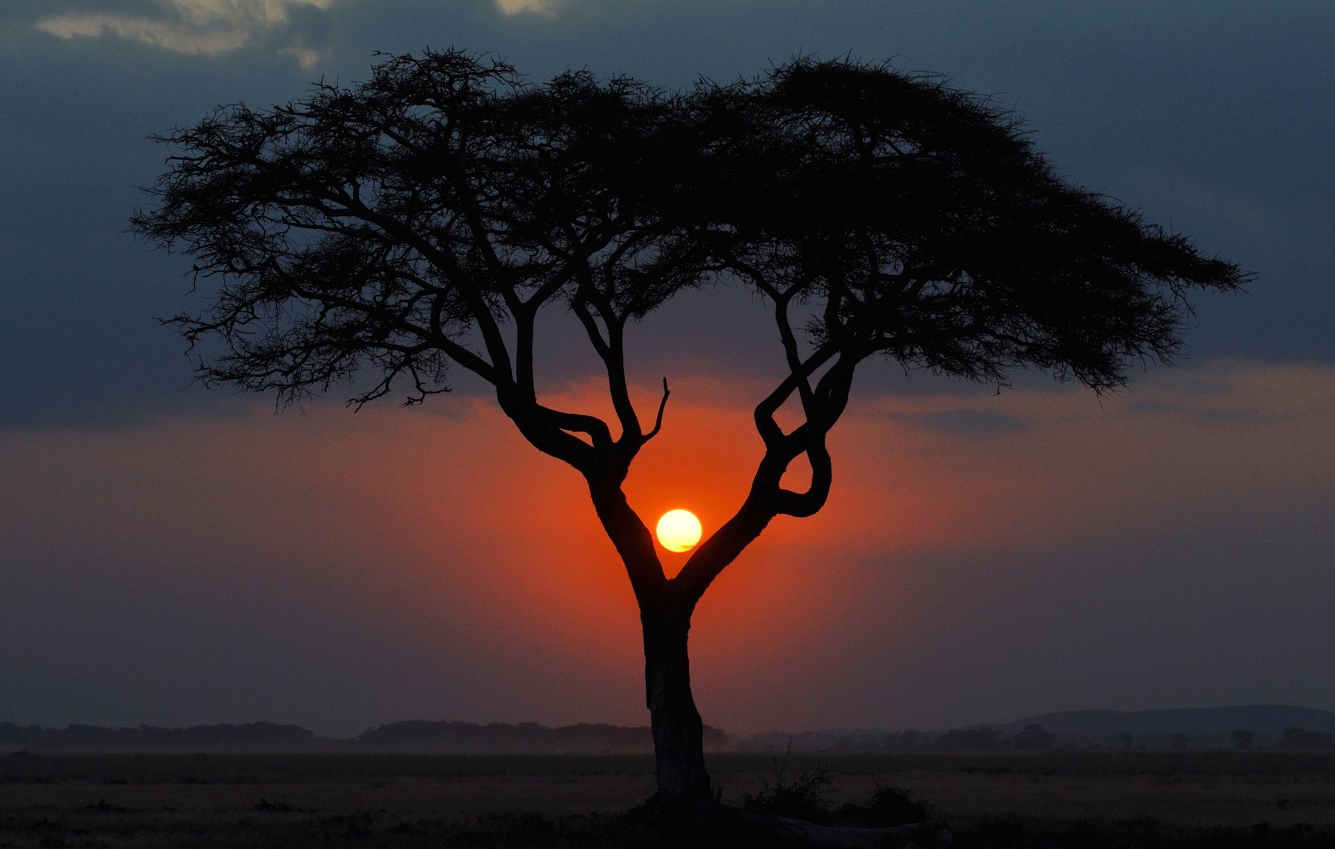 tramonto e alba tramonto alba albero paesaggio silhouette sera cielo sole illuminato natura crepuscolo