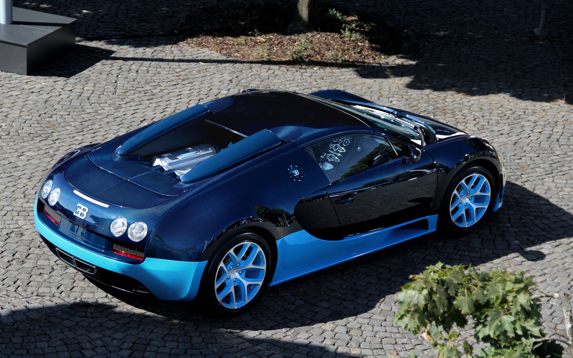 bugatti auto auto transportsystem fahren schnell automobil räder mittags rennen beeilen sie sich asphalt bürgersteig motorhaube cabrio bugatti veyron