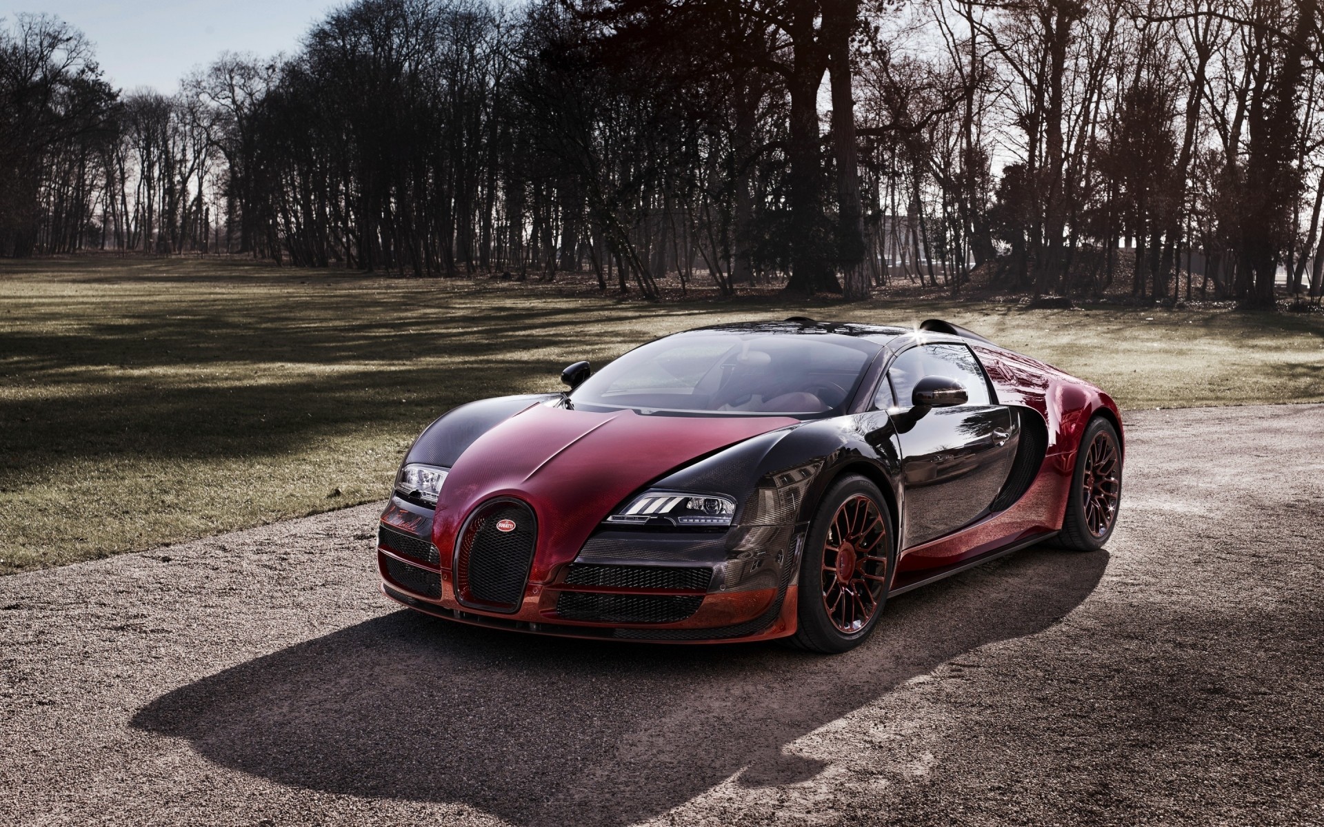 bugatti car vehicle wheel pavement drive hurry blacktop asphalt transportation system race bugatti veyron