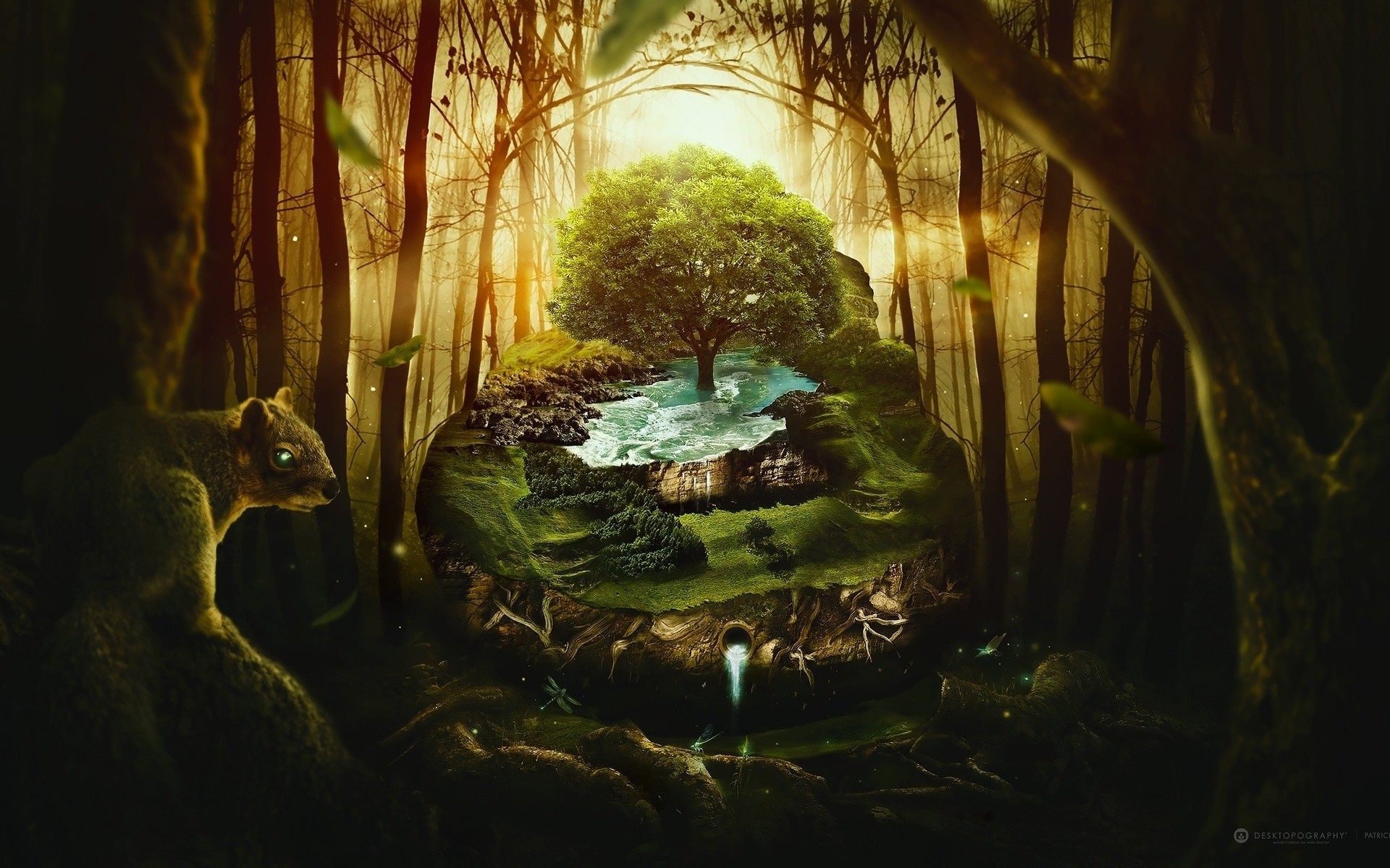 photo manipulation water light tree wood landscape leaf art fall