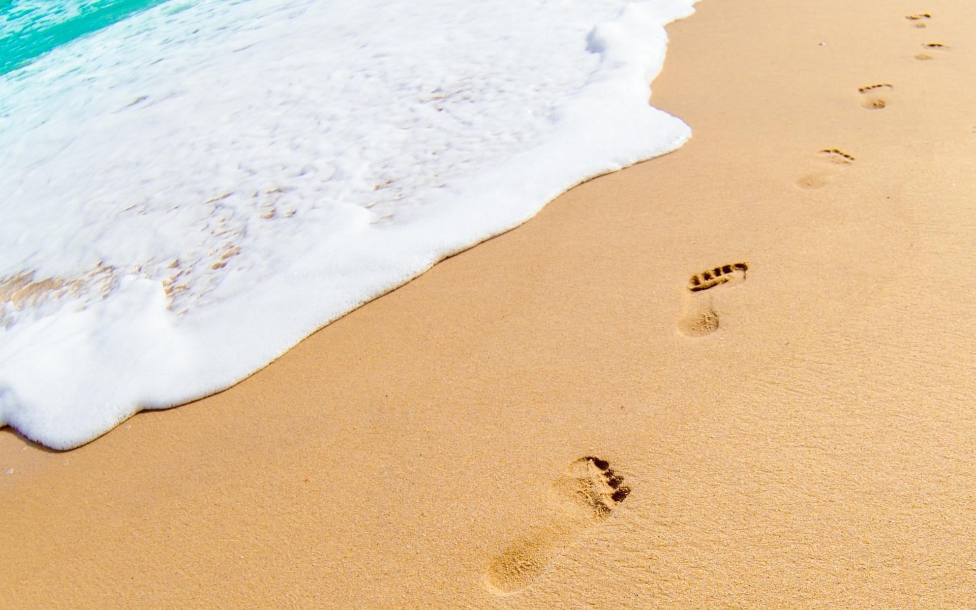 summer sand beach footprint seashore travel footstep surf desert dune water foam vacation fair weather shore foot outdoors footprints sea