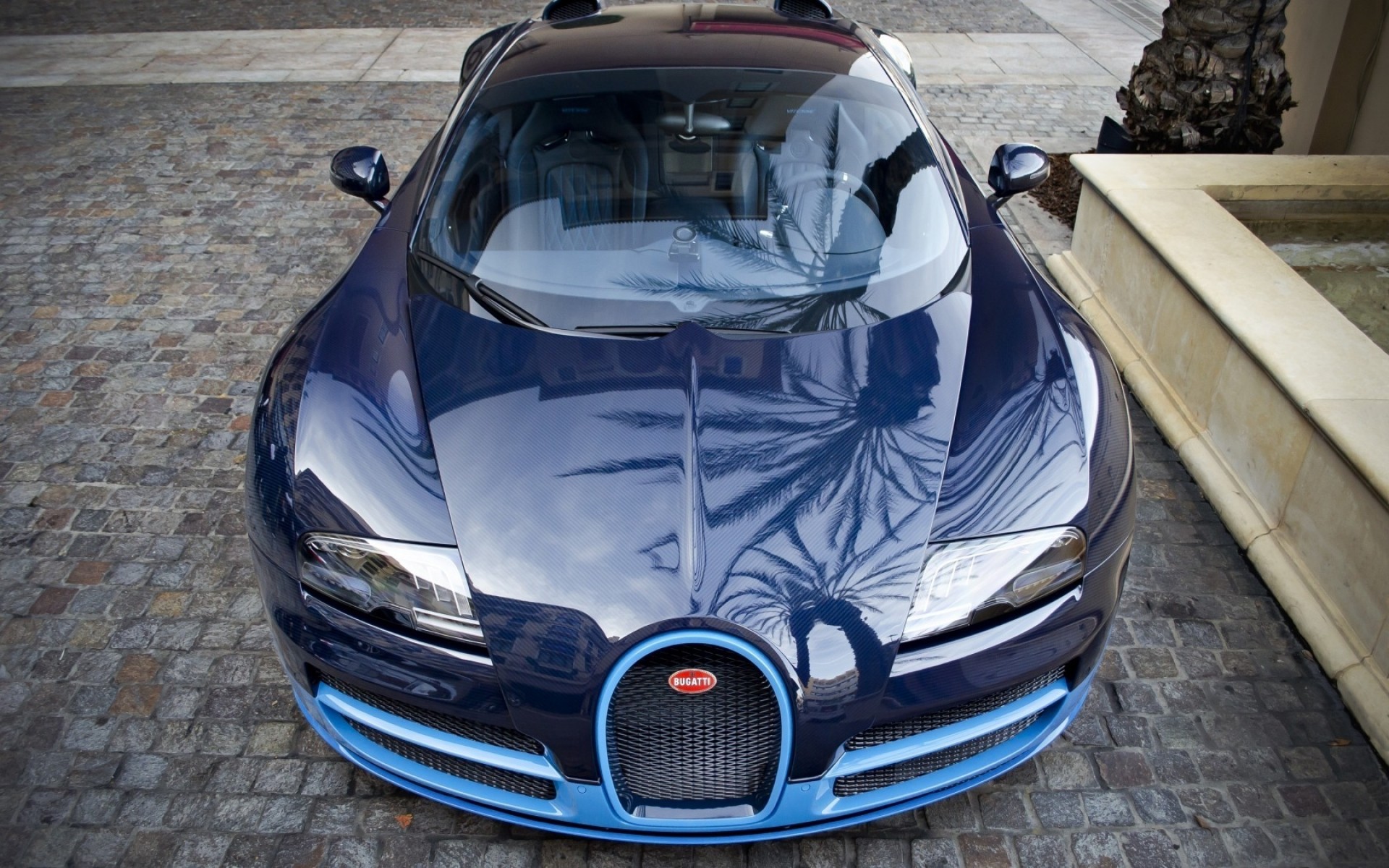 bugatti автомобиль автомобиль диск көлік жүйесі жылдам көрме сорғыш дөңгелектер көрсету сөре жарыс асығыс қуат классикалық стиль бугатти вейрон