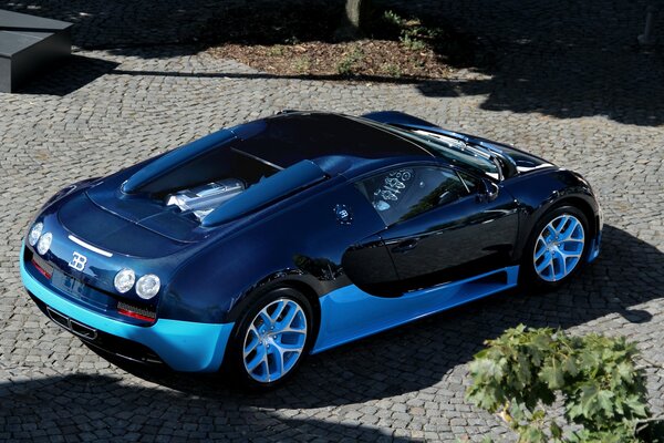 Rear view of the new blue Bugatti