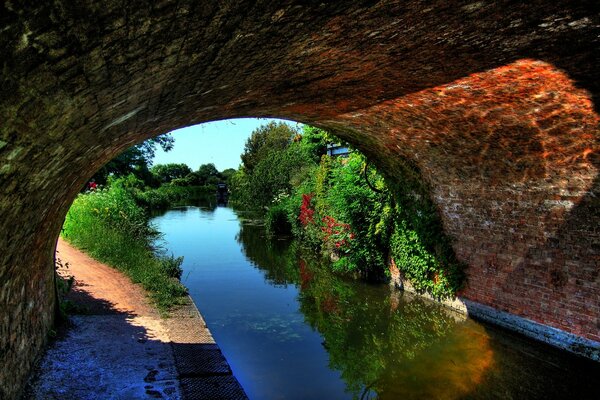 Landscape river through tunnel greenery and bright light