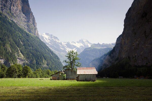 The peaceful beauty of the high mountains