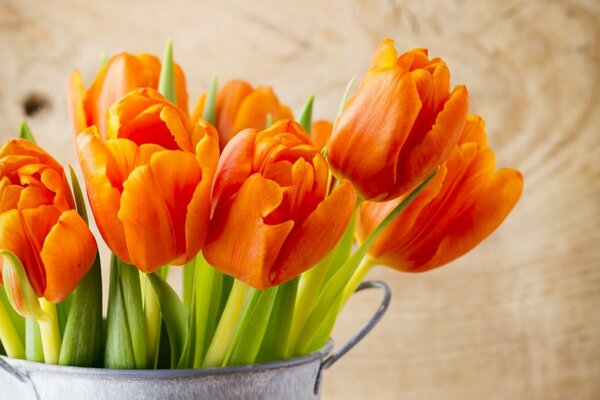 Orange Tulips in a bucket near a wooden background