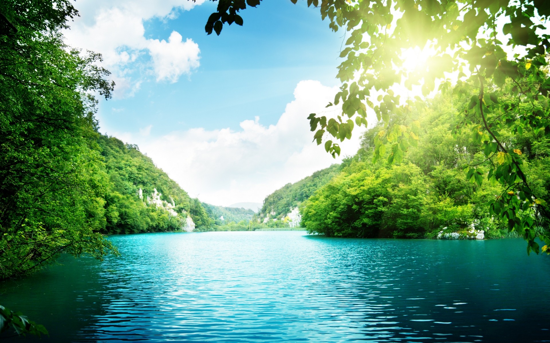 landscapes water nature tropical tree summer travel wood outdoors fair weather lake river landscape leaf idyllic sun sky forest green forest forest background lake desktop background